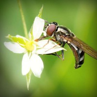 /album/icinliro/photolia-a02-jpg/