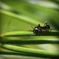 /album/icinliro/photolia-a05-jpg/