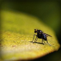 /album/icinliro/photolia-a07-jpg/