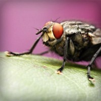 /album/icinliro/photolia-a08-jpg/